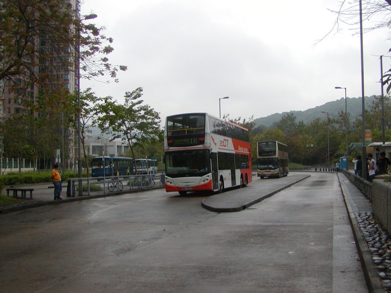 P1010059.jpg