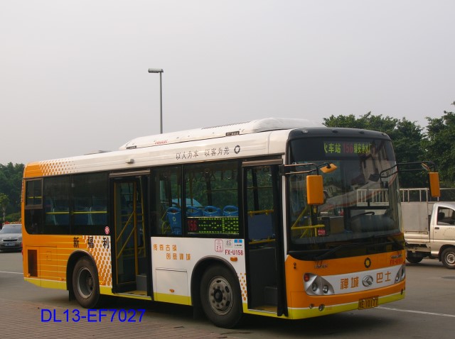 10177a.jpg