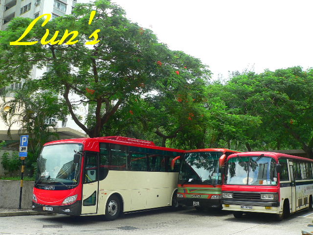 gy1974-1.JPG