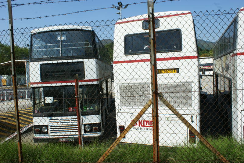 DSC02431.jpg