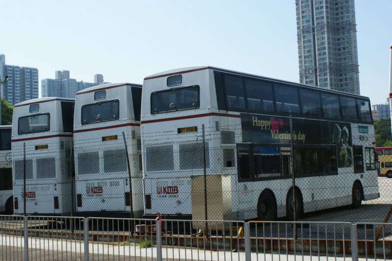 DSC02428.jpg