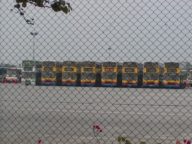 P1010068.jpg