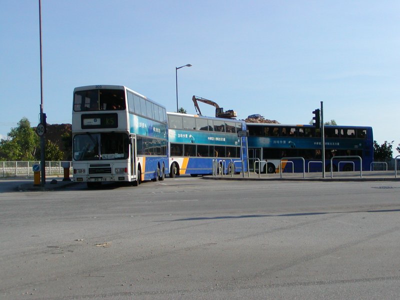c_303_2.jpg