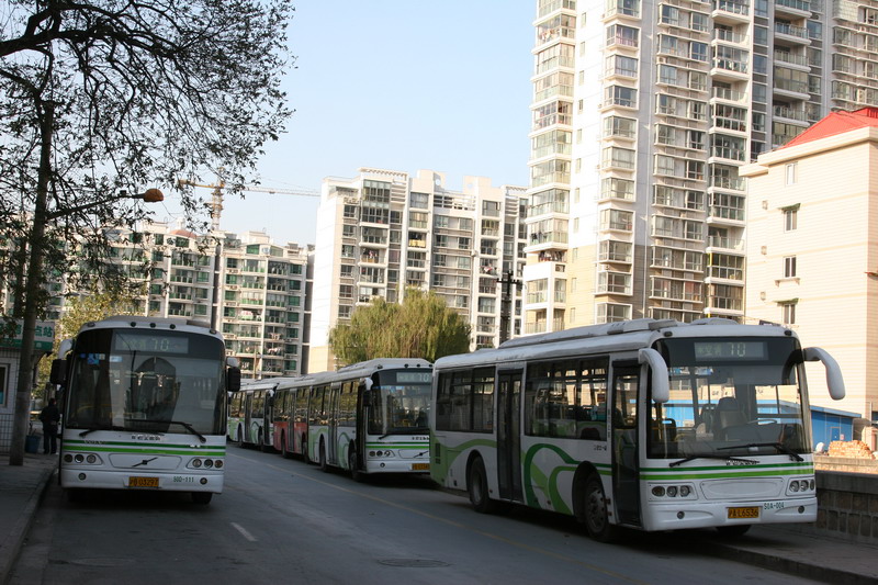 sh70003.jpg