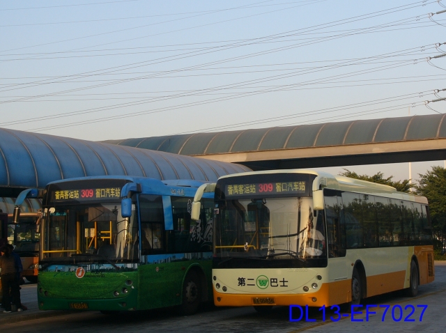 309.jpg