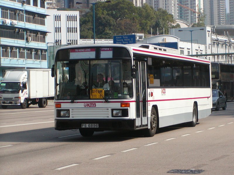 P1010052.jpg