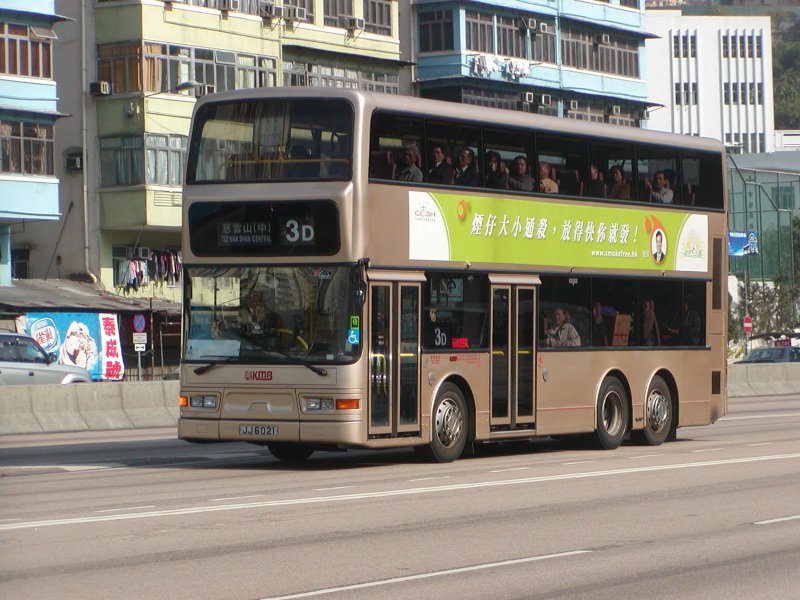 P1010080.jpg