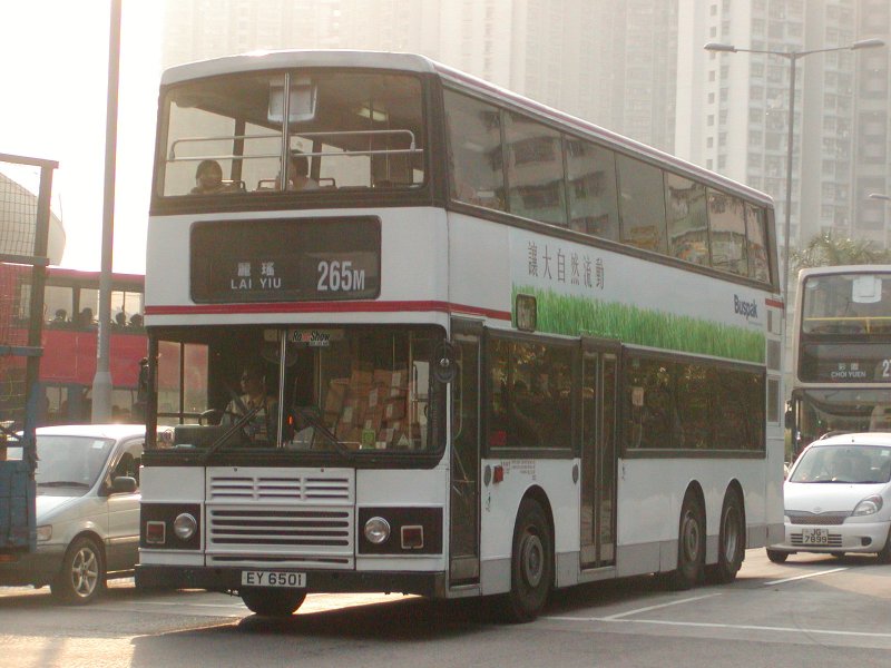 P1010025.jpg