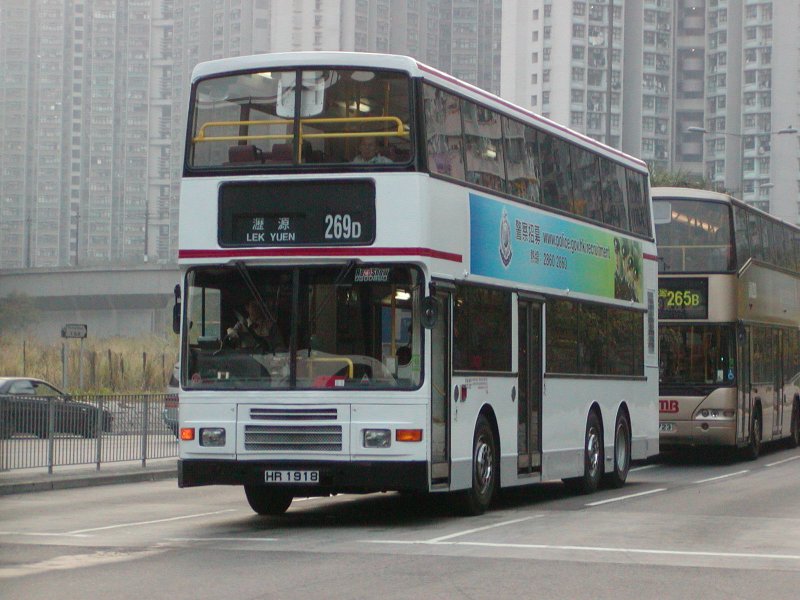 P1010040.jpg