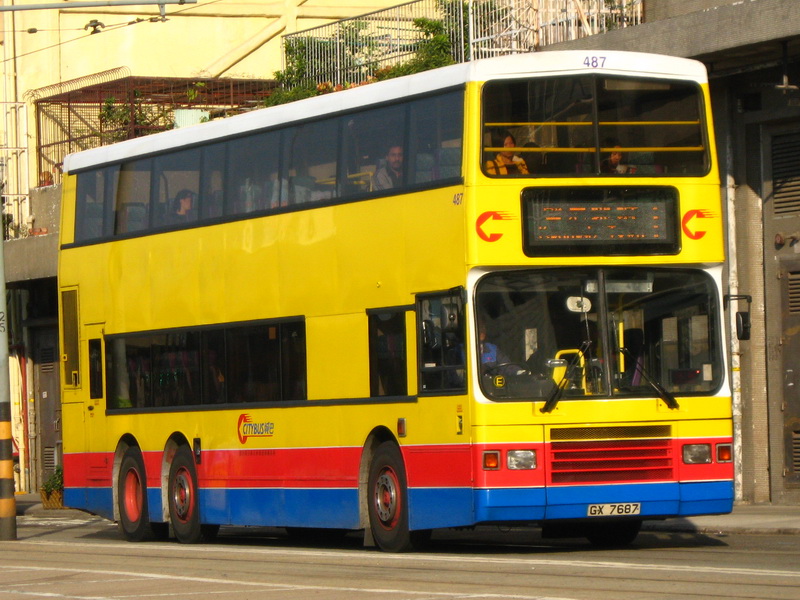 487.jpg