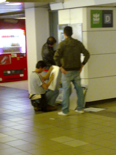 pic1.jpg