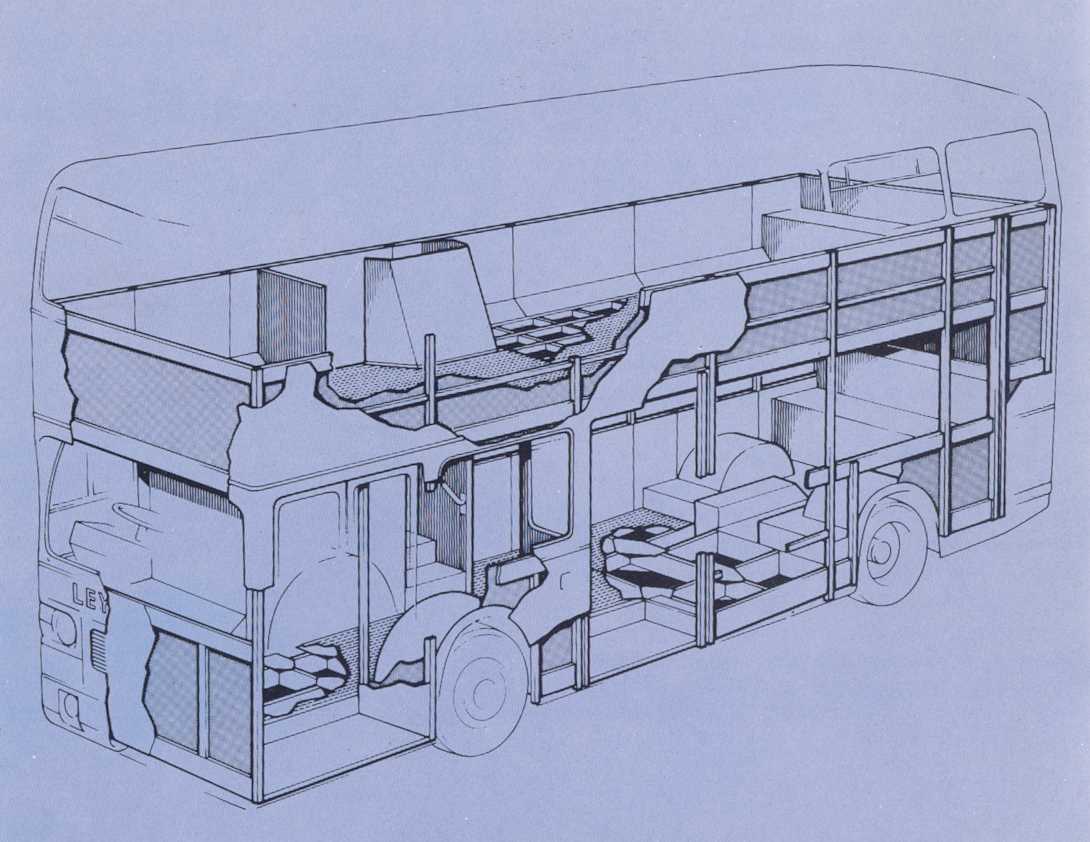 p12._body_structure.jpg