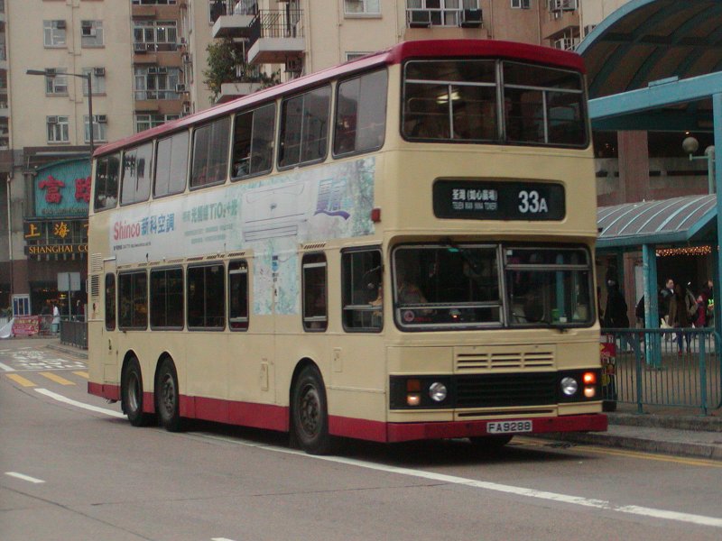 P1010036.jpg