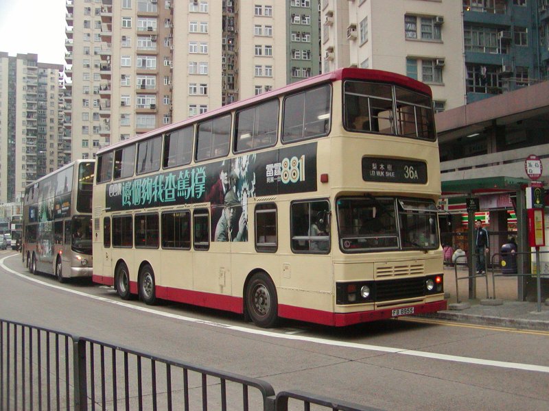 P1010017.jpg