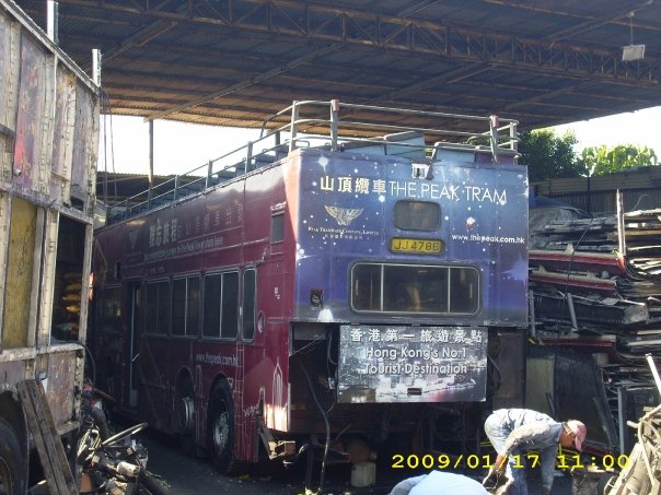 dm6B.jpg