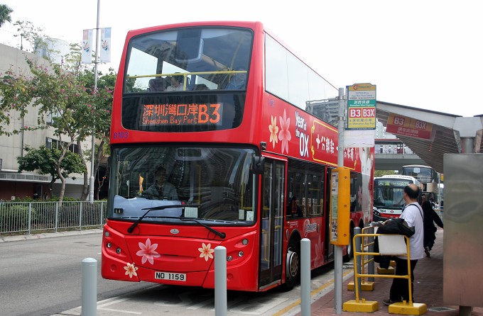 b3-8103yearofox.jpg