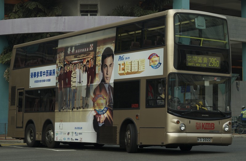 DSC_0808c.jpg