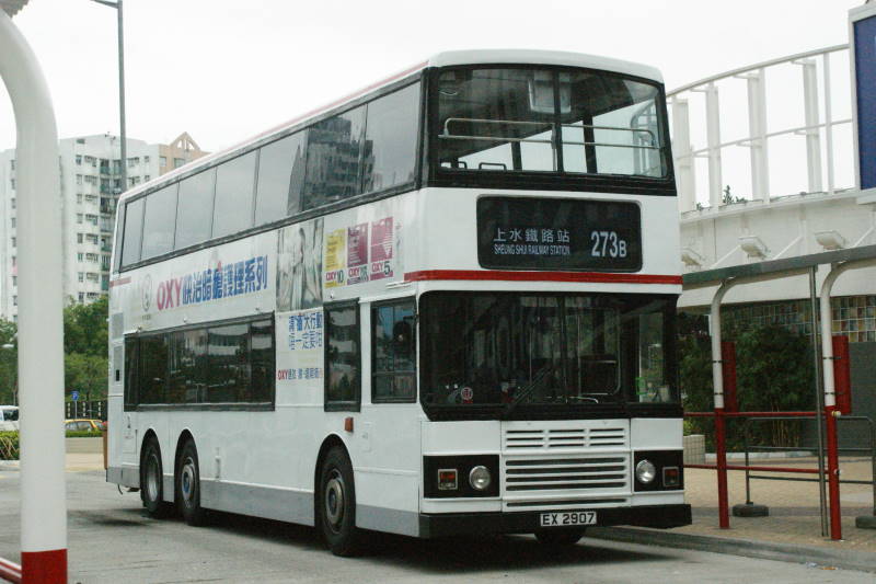 DSC03240.jpg
