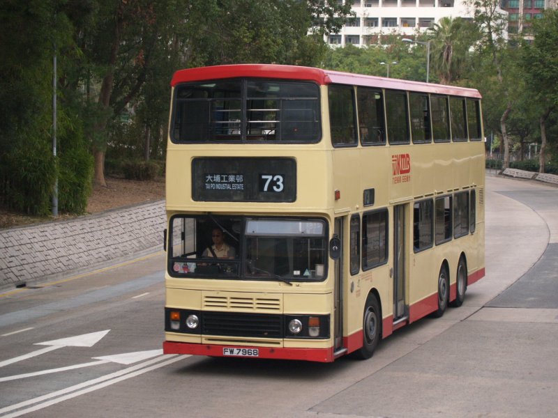 P1010194.jpg