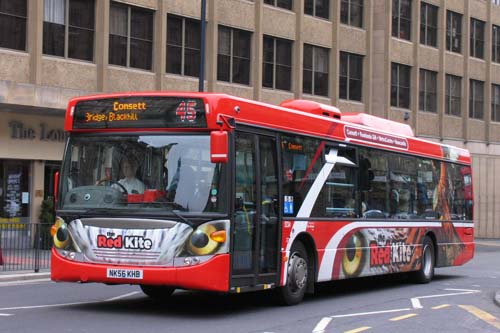 E433.JPG