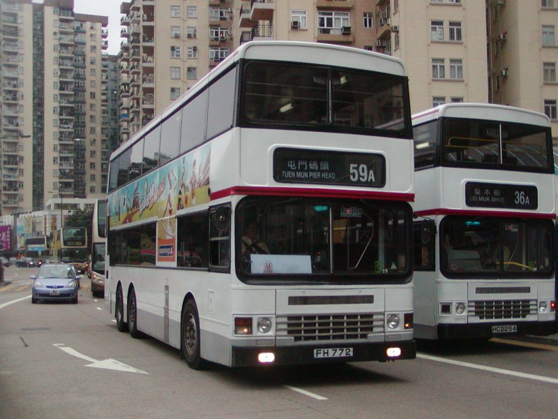 P1010009.jpg