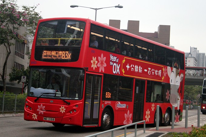 b3x-8103yearoftheox.jpg