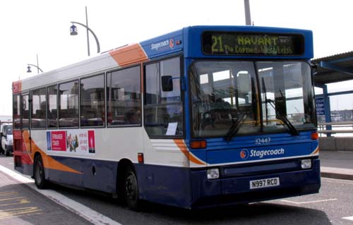 E446.JPG