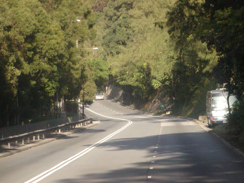 P1010059.jpg
