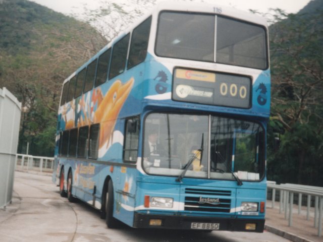 03.jpg