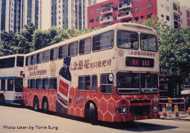 DL31.jpg
