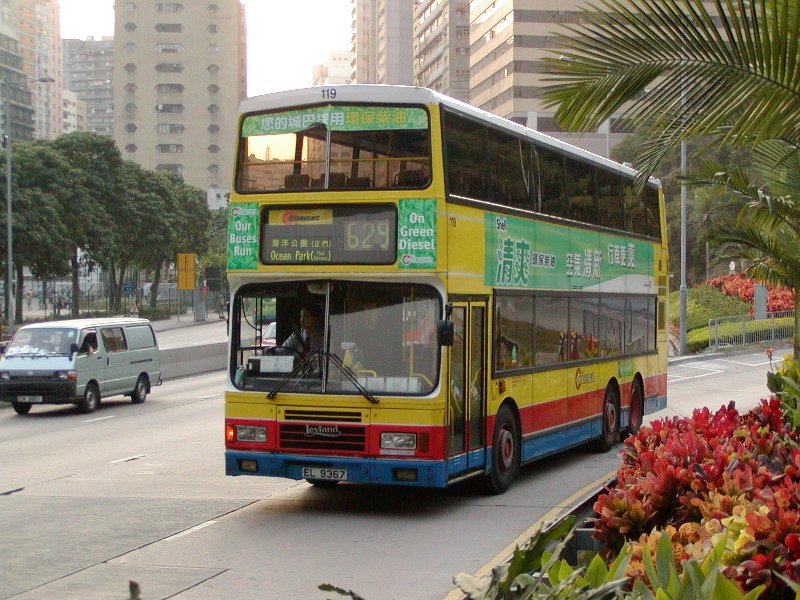c_119_1.jpg