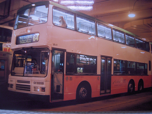 64.jpg