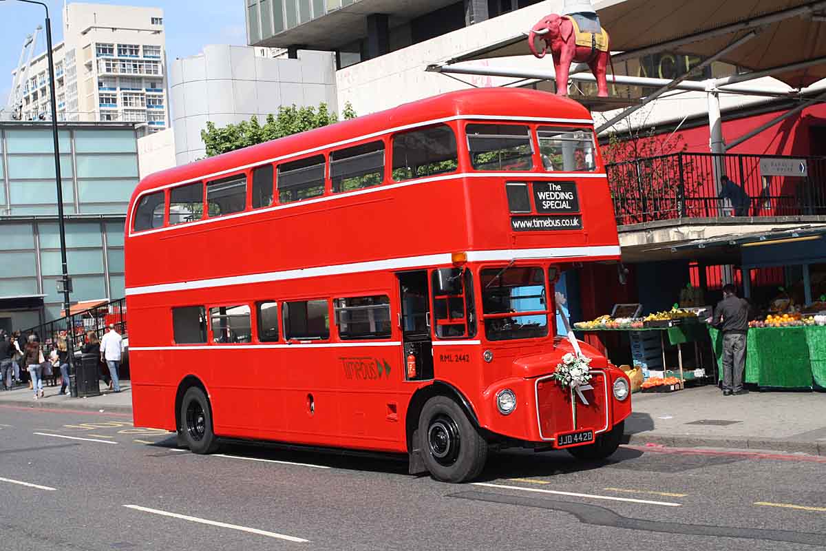 ss rml2442 ec sun.jpg