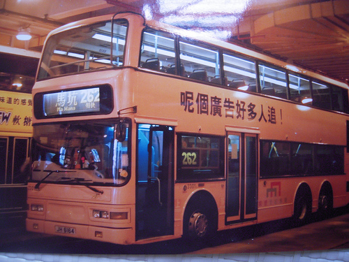 262.jpg
