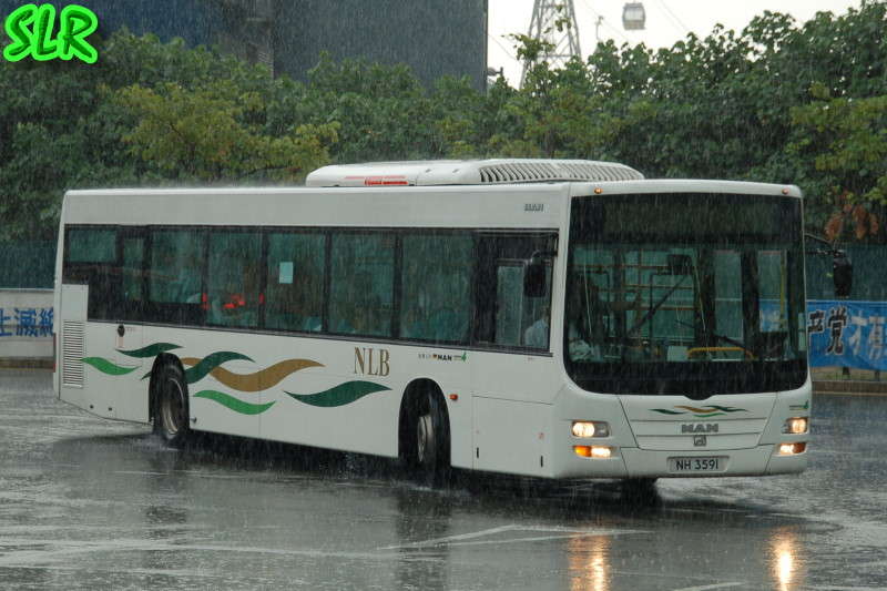 NH3591.jpg