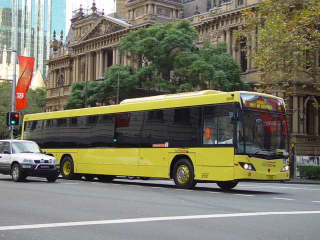 9806-1.jpg