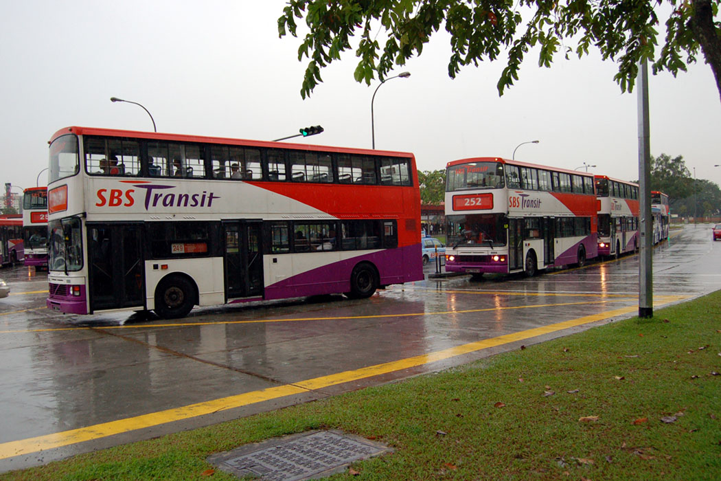 DSC_8310.jpg