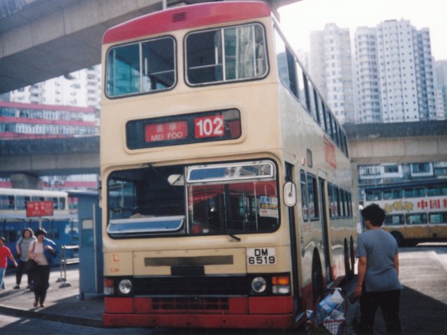 01.jpg
