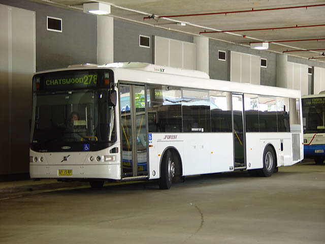 ay15rp-forest-1.jpg