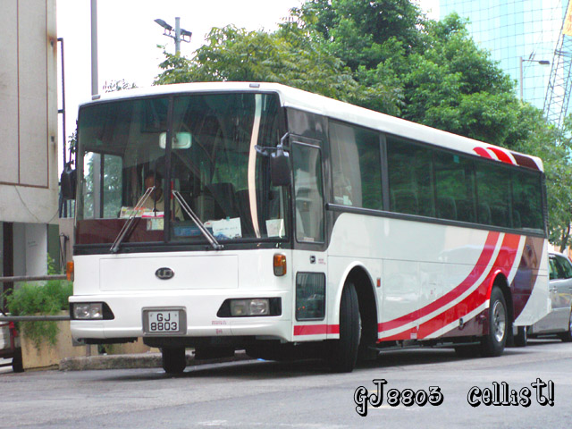 gj8803-3.jpg