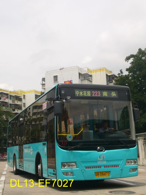 223-1.jpg