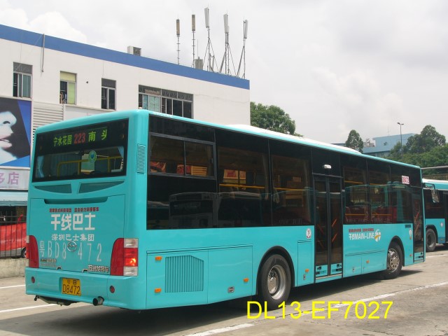 223-2.jpg