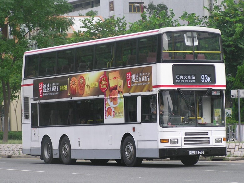 P1010027.jpg