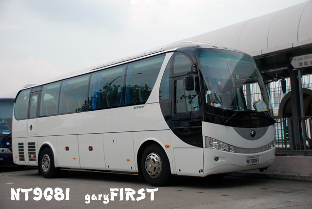 nt9081.jpg