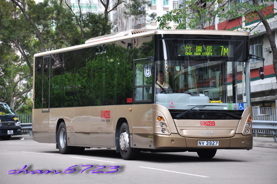 DSC_0153.jpg
