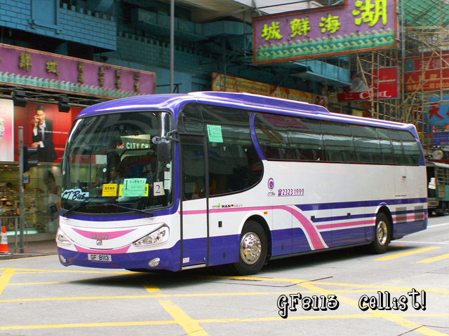 gf8113.jpg