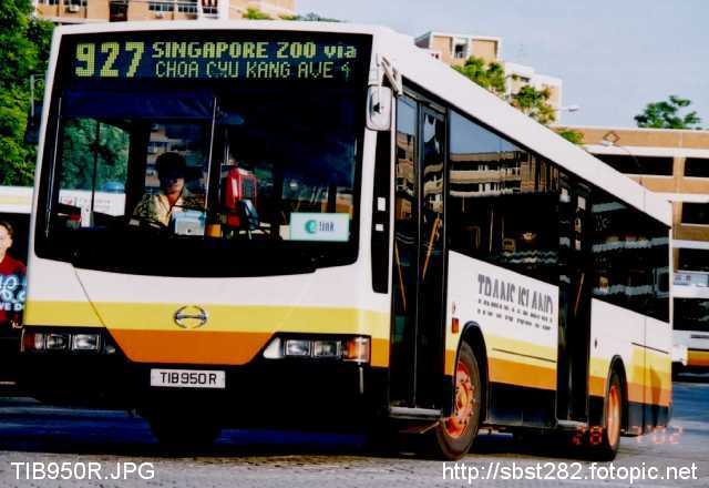 TIB950R.JPG