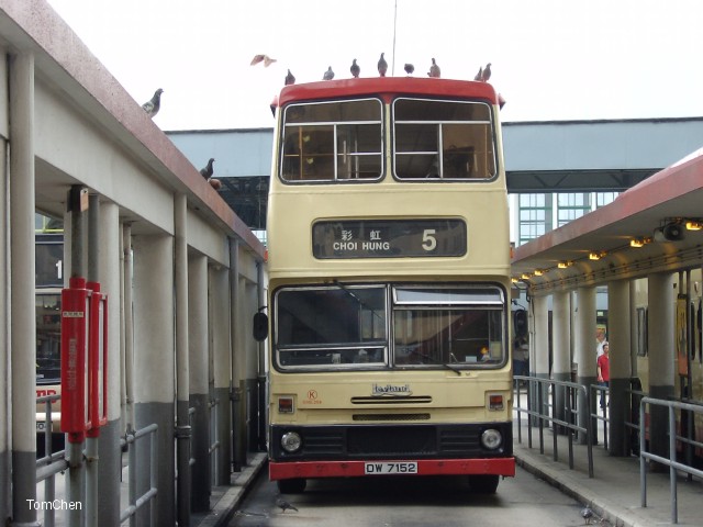 dw7152.jpg