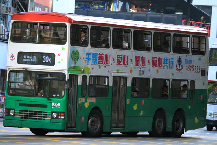FZ4602_30X.JPG