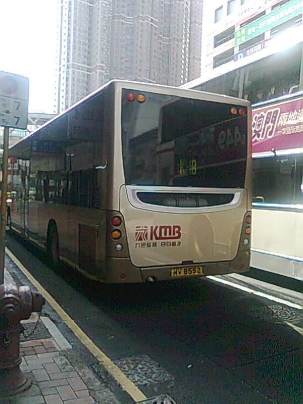 MTR 0510274.jpg